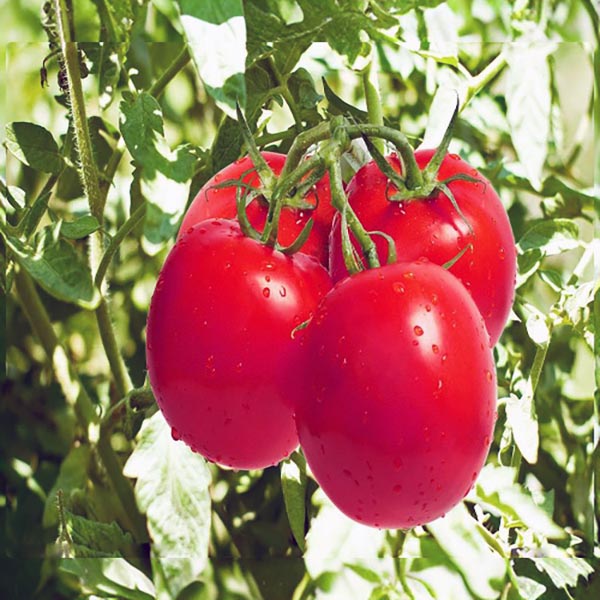 blog image 2
