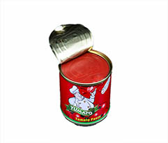 can 4 850g Canned Tomato Paste