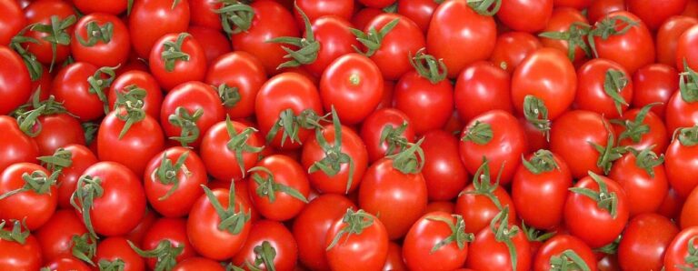 36-38% Wooden Bin Tomato Paste